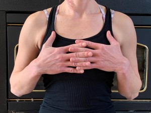 Vajrapardana-Mudra